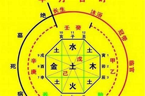 免費八字五行算命|生辰八字算命、五行喜用神查詢（免費測算）